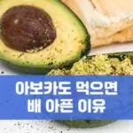 아보카도 먹으면 배 아픈 6가지 이유