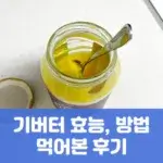 기버터 효능, 방법, 먹어본 후기