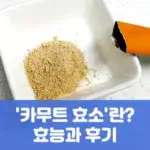 카무트 효소란? 효능과 후기