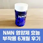 NMN 영양제 효능 부작용 6개월 후기