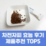 차전자피 효능 후기 제품추천 TOP5