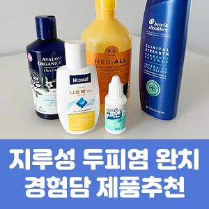 지루성 두피염 완치 경험담 제품추천